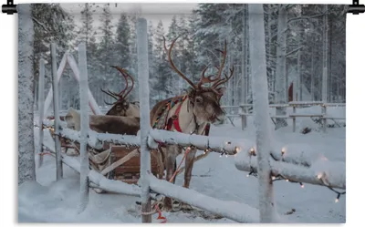 Produktbild von MuchoWow® Wandteppich Wandbehang Ein Rentier im Dorf des Weihnachtsmanns in Finnland 60x40 cm Tapisserie Dekoration Wandtuch - Wanddekorationen