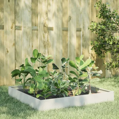 Image de Maison Exclusive - Potager surélevé blanc 100x100x26 cm en acier
