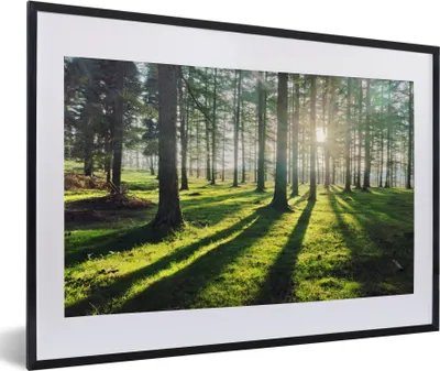 Produktbild von MuchoWow® Gerahmtes Poster Bäume - Natur - Wald 60x40 cm - Poster mit Schwarzem Bilderrahmen Wandposter Rahmen Foto Bilder - Schlafzimmer - Plakat in Rahmen - Drucken