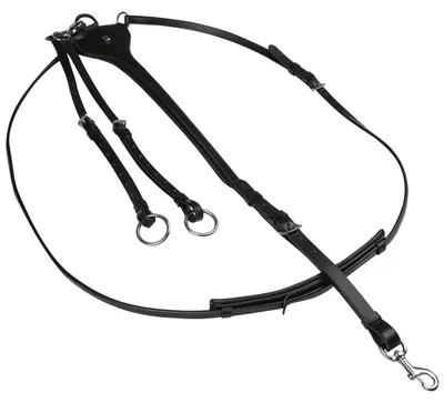 Produktbild von Waldhausen X-Line Martingal Professional