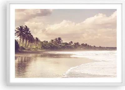Produktbild von Gerahmtes Poster - Weißer Rahmen - Palmen Strand Wasser - 70x50 cm - Wand Bild - Wanddeko - Wandbilder - Kunstposter - Wandposter - Bilderrahmen - Bilder - Kunstdruck - P2WAA70x50-4917
