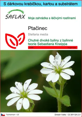 Obrázek produktu pro SAFLAX Dárková sada - Ptačinec - Stellaria media - 1000 Semena - S dárkovou krabičkou, přepravním štítkem, dárkovou kartou a pěstebním médiem