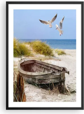 Produktbild von Gerahmtes Poster - Schwarzer Rahmen - Strand Möwen £ódŸ - 50x70 cm - Wand Bild - Wanddeko - Wandbilder - Kunstposter - Wandposter - Bilderrahmen - Bilder - Kunstdruck - Wandbild - P2BPA50x70-4170