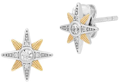 Produktbild von Engelsrufer ERE-NEWSTAR-ZI-BI-ST Damen Ohrstecker Silber 925 Bicolor