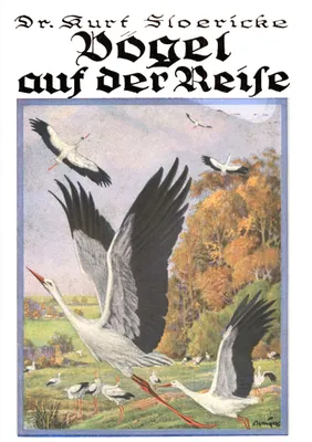 Produktbild von Vögel auf der Reise