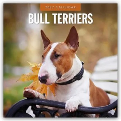Obrázek produktu pro Bullteriéři - Kalendář Bullterrier 2027 - Kalendář na 16 měsíců