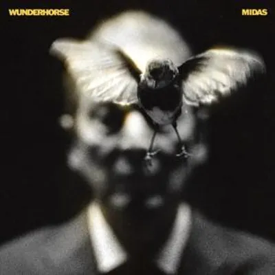 Produktbild von Wunderhorse: Midas