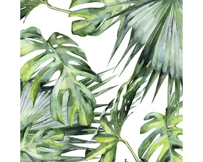 Produktbild von Glasbild Jungle GLA2100 50x50 cm