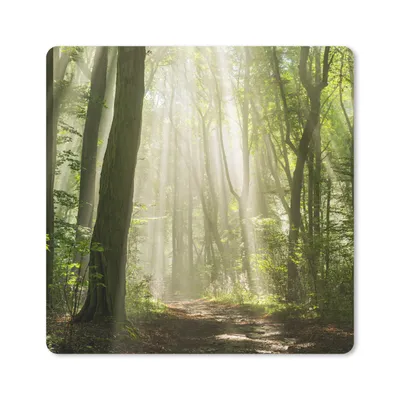 Produktbild von MuchoWow® Mauspad Mousepad Wald - Licht - Natur - Landschaft 20x20 cm - Mousepads - Maus Mat - Pad - Mausunterlage - Desk Mat - Bureauartikeln
