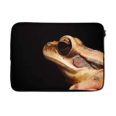 Produktbild von MuchoWow® Laptop Hülle 14 ZollFrosch - Auge - Schwarz Laptoptasche - Laptoptasche - Stoßsicher - Schutzhaube