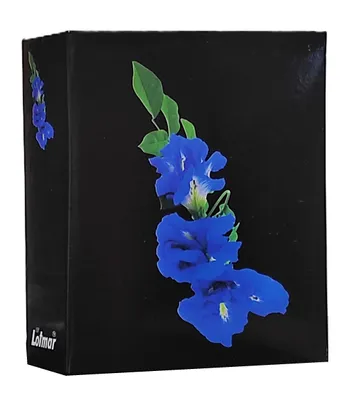 Immagine prodotto di VMC ALBUM per 304 foto 10x15 cm. nessuna descrizione FIORE NERO blu