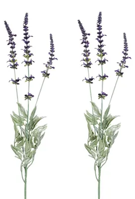 Immagine prodotto di Bellissimi rami di lavanda artificiale Fiori artificiali decorativi in viola 66 cm
