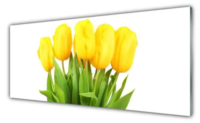 Produktbild von Acrylglasbilder 125x50 Wandbild Druck Tulpen Pflanzen