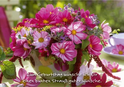 Produktbild von Gänseblümchen - Postkarte im Format 10,5 x 14,8 cm - Zum Geburtstag