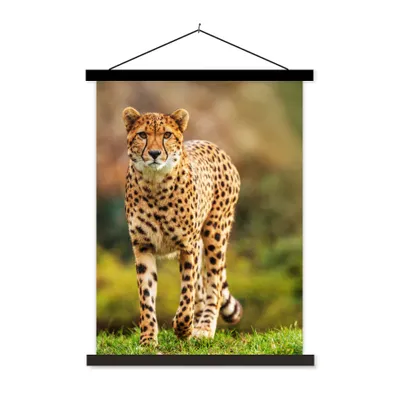 Produktbild von MuchoWow® Textilposter Wildtiere - Gras - Leopard - Natur 40x53 cm mit schwarzem Rahmen - Abbildung