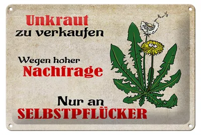 Produktbild von Blechschild Spruch 30x20cm Unkraut nur an Selbstpflücker