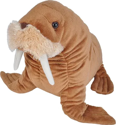 A plush toy walrus is shown from a front-facing angle against a white background.