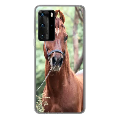 Produktbild von MuchoWow® Handyhülle Schutzhülle Hülle für Huawei P40 Pro Pferd - Wald - Halfter Silikon Softcase Handy Hülle - Schutz