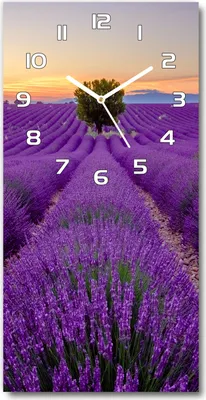 Produktbild von Wanduhr aus Glas – 30x60 cm - Glasbild - Glasuhr - Gehärtetes Glas -Lavendelfeld