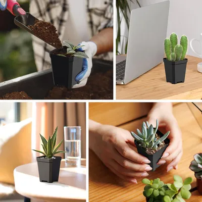 Produktbild von Kleine Kunststofftöpfe für Setzlinge - 100 Stück - quadratisch - 6,5 x 5,5 x 4 cm