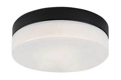 Produktbild von Rabalux 75026 Badezimmerlampen Schwarz Metall