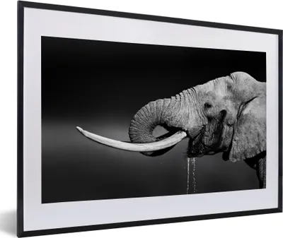 Produktbild von MuchoWow® MuchoWow® Gerahmtes Poster Elefant - Wasser - Schwarz - Weiß 60x40 cm - Poster mit zchwarzem Bilderrahmen - Schlafzimmer - Plakat in Rahmen - Drucken