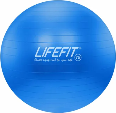 A blue exercise ball with the brand name and size printed on it.