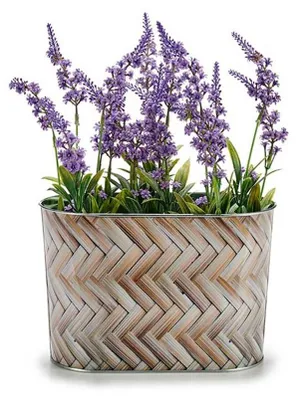 Produktbild von Arte r Pflanzentopf/Blumentopf teil- Zink- braun - L23 x D3 x H15 cm