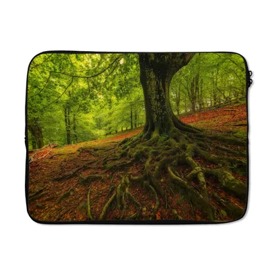 Produktbild von MuchoWow® Laptop Hülle 15 Zoll Baum - Wald - Herbstblätter Laptoptasche - Laptoptasche - Sleeve - Rundum-Schutz