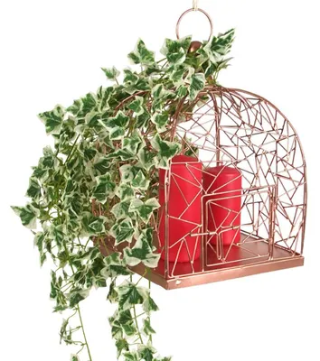 Produktbild von Deko-Vogelkäfig 22x32cm Kupferfarben Pflanzkäfig Blumenkorb Kerzenhalter Voliere