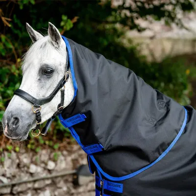Image de Horseware Amigo Ripstop 900D Turnout Hood 150g - Taille L - Noir