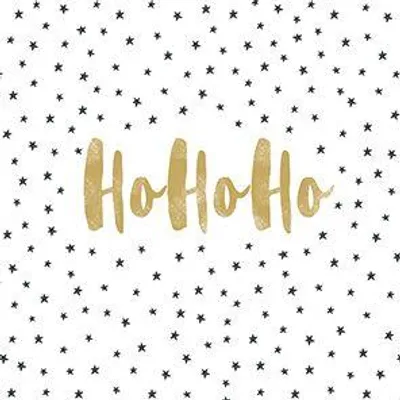Produktbild von Braun & Company Servietten Cocktail Hoho Christmas 25 x 25 cm - 20er Pack