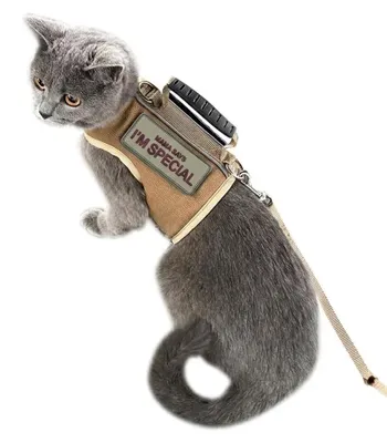 Produktbild von Katzengeschirr und Leine zum Spazierengehen, ausbruchsicher, verstellbares Katze