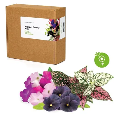 Obrázok produktu pre Click and Grow Flower Mix, kapsule so semenami a substrátom 9ks