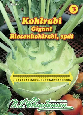 Artikelbild 1 von 'Riesenkohlrabi Gigant' aus der Kategorie Kohlrabisamen