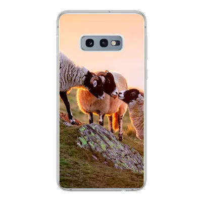 Produktbild von MuchoWow® Handyhülle Schutzhülle Hülle für Samsung Galaxy S10e Schafe - Tiere - Sonnenuntergang Silikon Softcase Handy Hülle - Handy