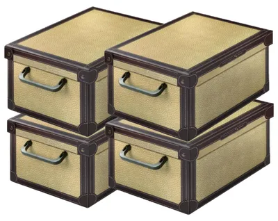 Imagen del producto de Lavatelli Set de 4 Cajas de Almacenaje con Tapa Tapirus, 25 x 35 x 17,5 cm