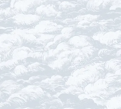 Zdjęcie produktu dla Architects Paper Wolkentapete Jungle Chic Vliestapete grau weiß 10.05 m x 0.53 m
