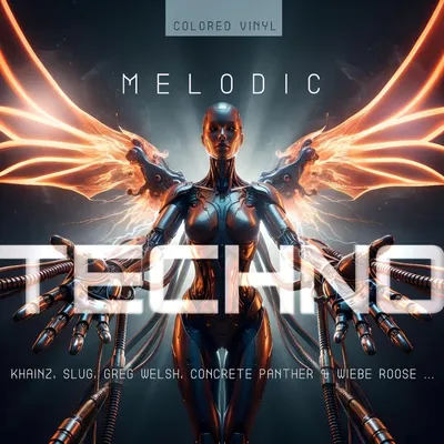Zdjęcie produktu dla Various Artists - Melodic Techno 2026 (LP)