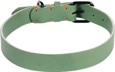 Productafbeelding van Halsband LEANO Groen XXL 52-62 cm 30 mm