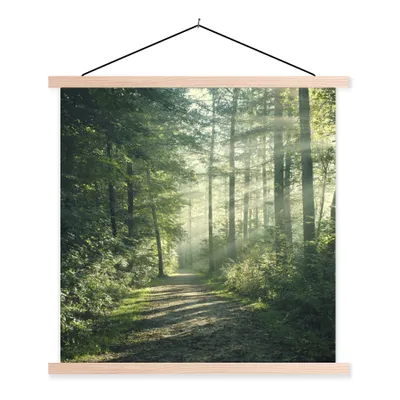 Produktbild von MuchoWow® Textilposter Wald - Licht - Weg 120x120 cm mit holzfarbenen Rahmen - Textil-Poster