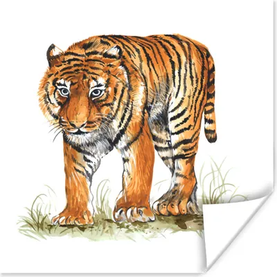 Produktbild von MuchoWow® Poster Tiger - Augen - Gras 30x30 cm - Wandposter - Printing