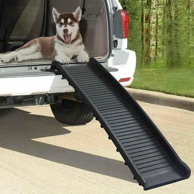 Imagen del producto de Rampa plegable para perros, ayuda para subir, rampa para coche, color