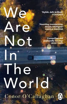 Produktbild von We Are Not in the World
