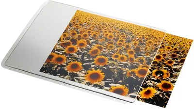 Obrázek produktu pro Esselte 67691, Průhledná, Bílá, Jednobarevný