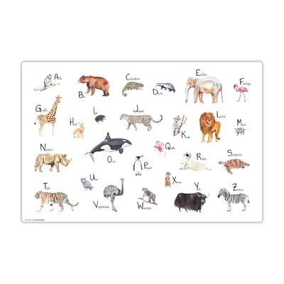 Produktbild von Schreibtischunterlage für Kinder - abwaschbar – Tier ABC / Alphabet – aus premium Vinyl – 60 x 40 cm –  Hergestellt in Deutschland - Jungs & Mädchen