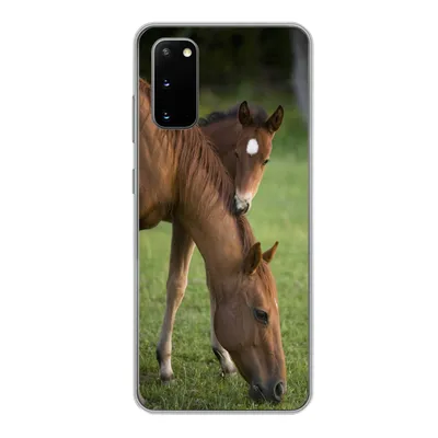 Produktbild von MuchoWow® Handyhülle Schutzhülle Hülle für Samsung Galaxy S20 Pferde - Gras - Porträt Silikon Softcase Handy Hülle - Bild