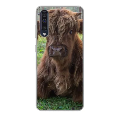 Produktbild von MuchoWow® Handyhülle Schutzhülle Hülle für Samsung Galaxy A50 Schottischer Highlander - Kröte - Tiere Silikon Softcase Handy Hülle - Mobiltelefonhülle