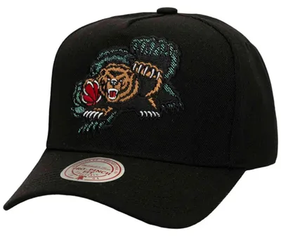 Immagine prodotto di Cappellino Mitchell & Ness HP12161VGR da Unisex
