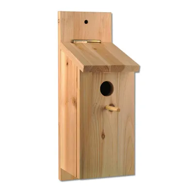 Produktbild von Nistkasten-Bausatz aus Holz zum Bauen und Bemalen, 35 x 11 x 12 cm, für kleine Vögel | Wiemann Lehrmittel